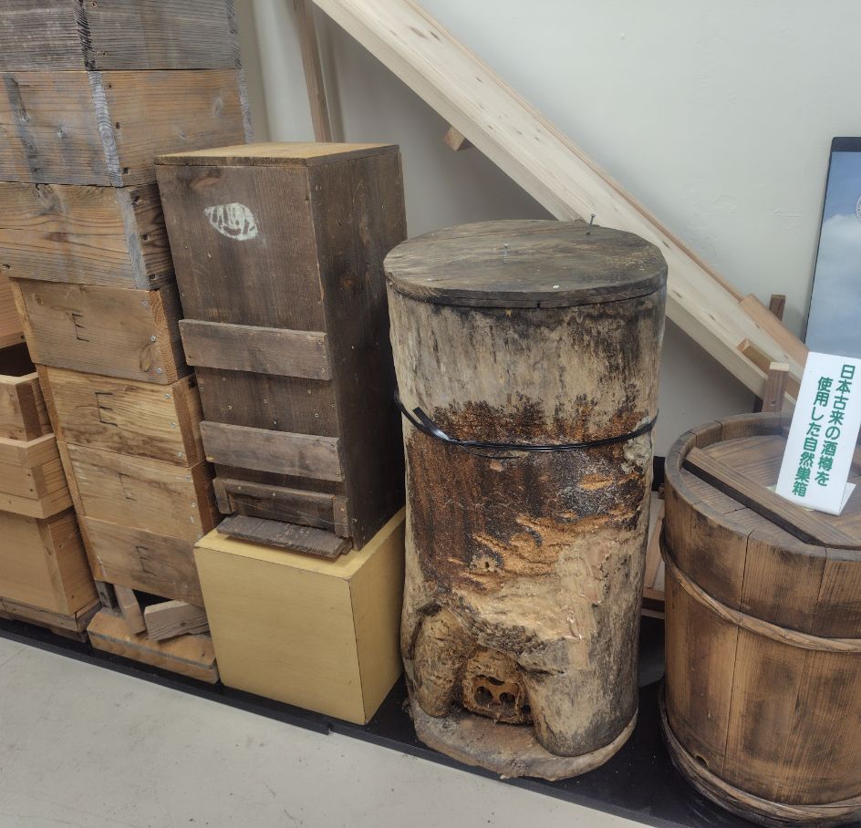 ニホンミツバチ用の様々な巣箱（1F）